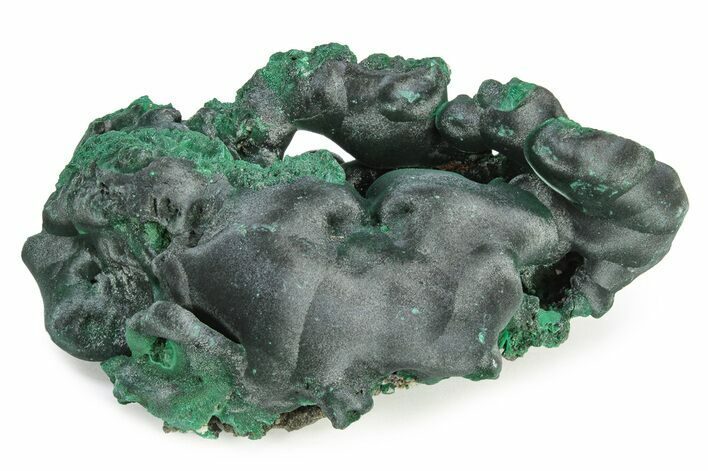 Silky, Botryoidal Malachite Cluster - Congo #250689